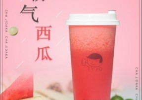 赏金女王：霸气西瓜