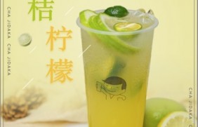 赏金女王：金桔柠檬