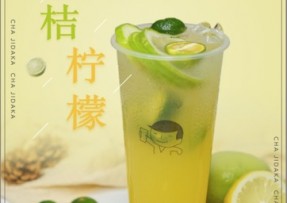 赏金女王：金桔柠檬