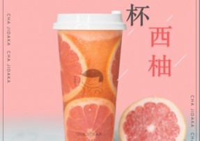 赏金女王：满杯西柚